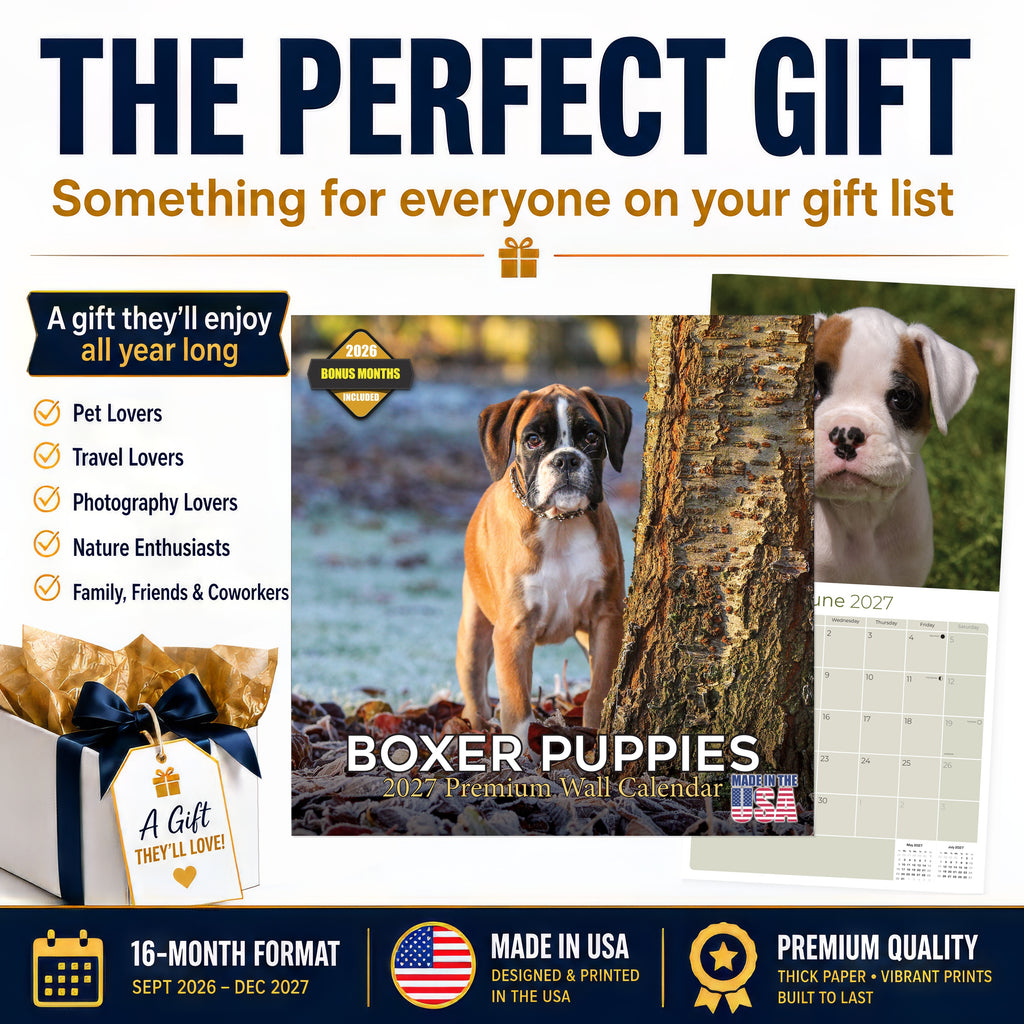 Boxer Puppies Wall Calendar 2027 - 12" x 12" Monthly Adorable Mischievous Boxer Puppy Calendar