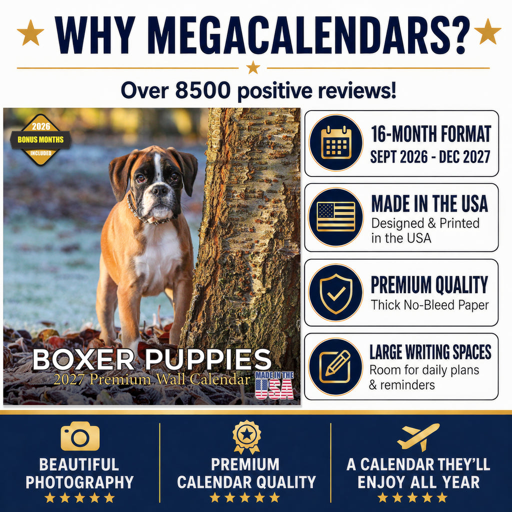 Boxer Puppies Wall Calendar 2027 - 12" x 12" Monthly Adorable Mischievous Boxer Puppy Calendar