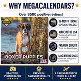 Boxer Puppies Wall Calendar 2027 - 12" x 12" Monthly Adorable Mischievous Boxer Puppy Calendar