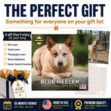 Blue Heeler Wall Calendar 2027 - 12" x 12" Monthly Quick Loyal Australian Herding Dog Breed Calendar