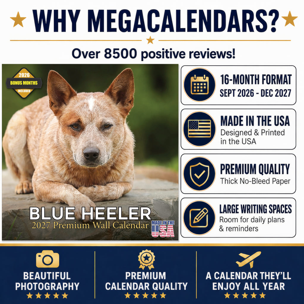 Blue Heeler Wall Calendar 2027 - 12" x 12" Monthly Quick Loyal Australian Herding Dog Breed Calendar