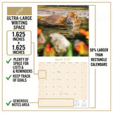 Capybara Wall Calendar 2027 - 12" x 12" Monthly Gentle Social Giant Exotic Rodent Calendar