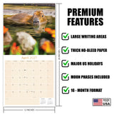 Capybara Wall Calendar 2027 - 12" x 12" Monthly Gentle Social Giant Exotic Rodent Calendar