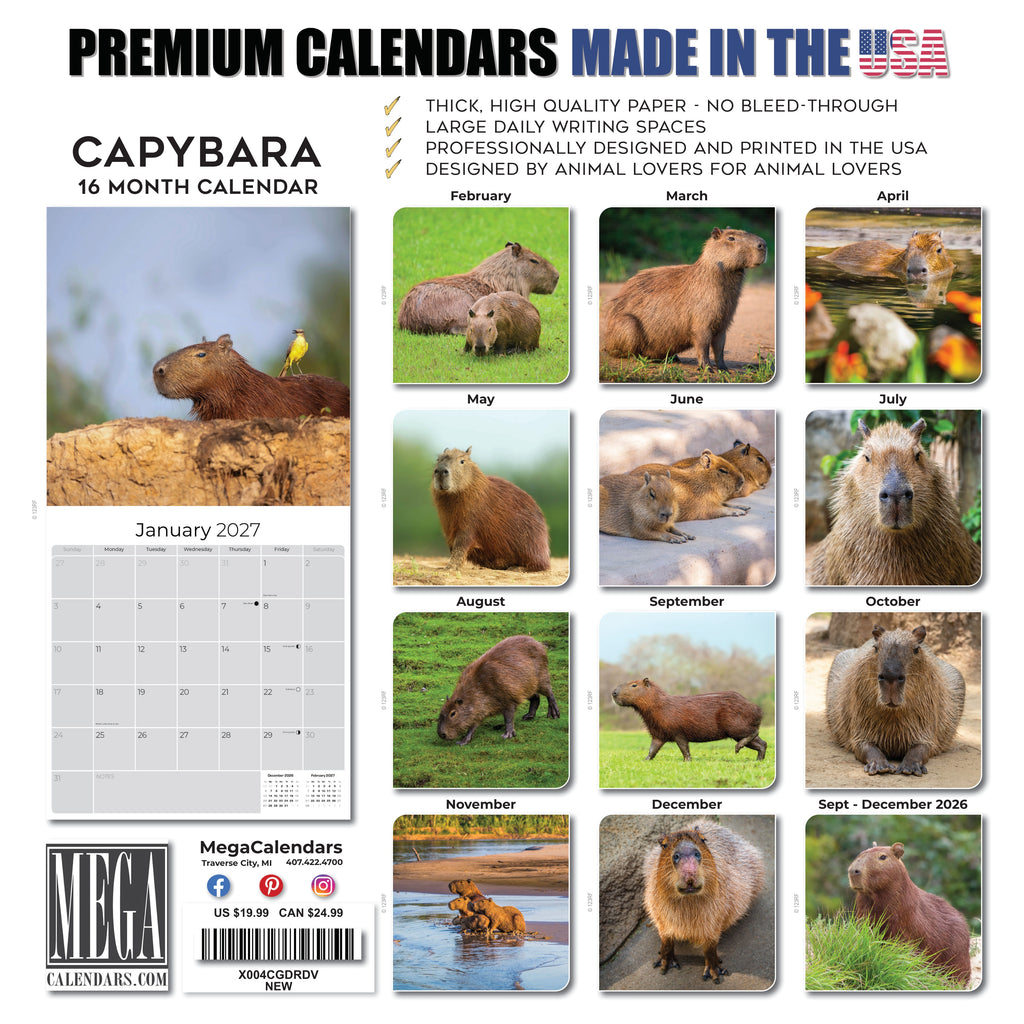 Capybara Wall Calendar 2027 - 12" x 12" Monthly Gentle Social Giant Exotic Rodent Calendar