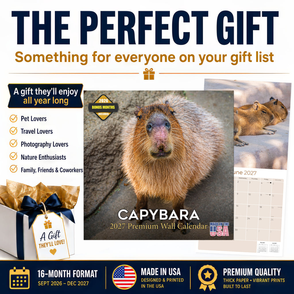 Capybara Wall Calendar 2027 - 12" x 12" Monthly Gentle Social Giant Exotic Rodent Calendar