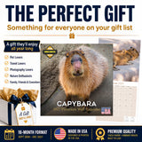 Capybara Wall Calendar 2027 - 12" x 12" Monthly Gentle Social Giant Exotic Rodent Calendar