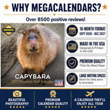 Capybara Wall Calendar 2027 - 12" x 12" Monthly Gentle Social Giant Exotic Rodent Calendar
