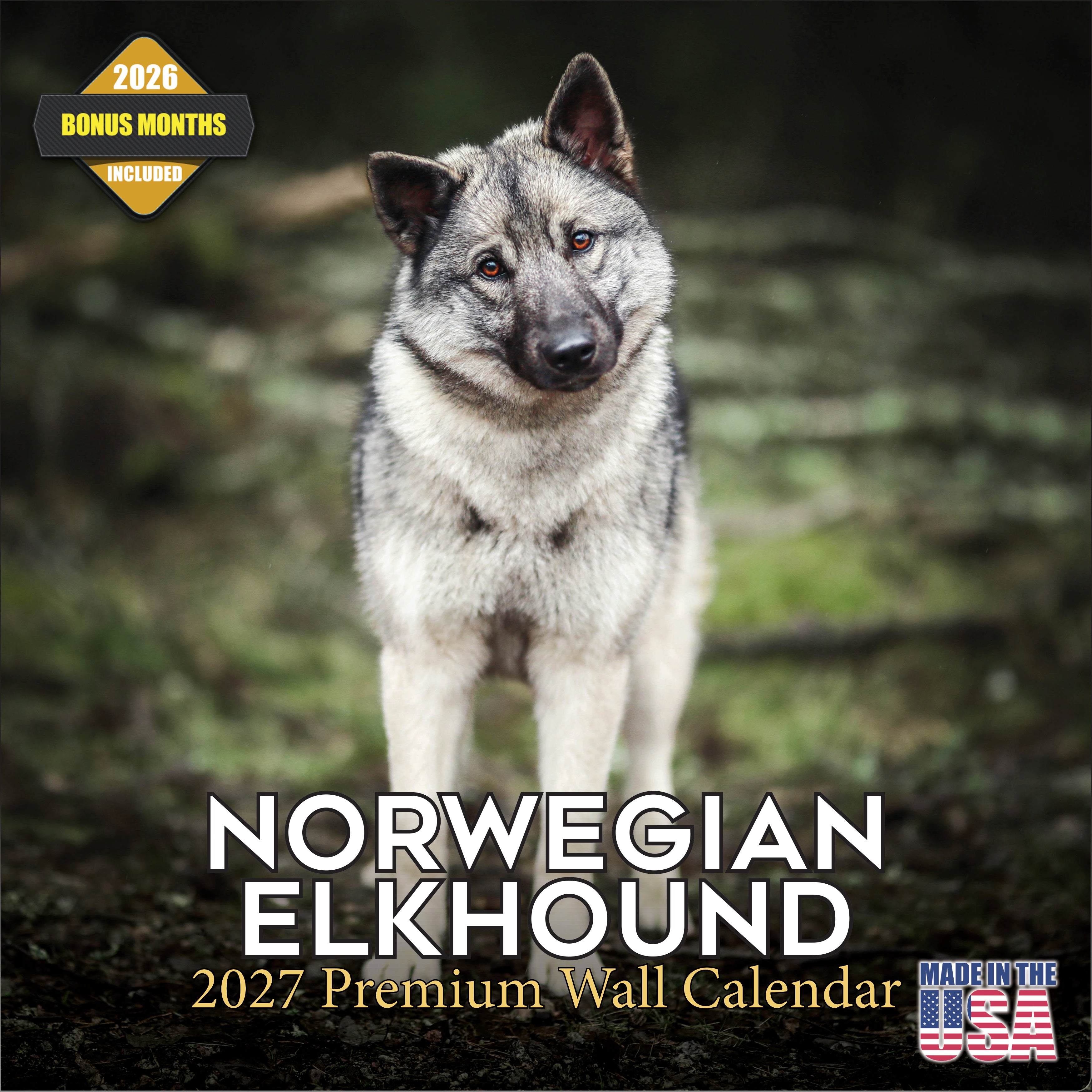 Norwegian Elkhound Wall Calendar 2027 - 12