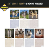 Norwegian Elkhound Wall Calendar 2027 - 12" x 12" Monthly Bold Silver-Grey & Viking Heritage Hound Calendar