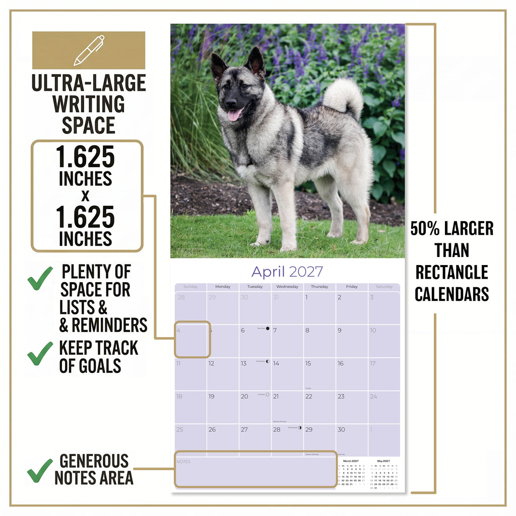 Norwegian Elkhound Wall Calendar 2027 - 12" x 12" Monthly Bold Silver-Grey & Viking Heritage Hound Calendar