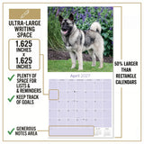 Norwegian Elkhound Wall Calendar 2027 - 12" x 12" Monthly Bold Silver-Grey & Viking Heritage Hound Calendar