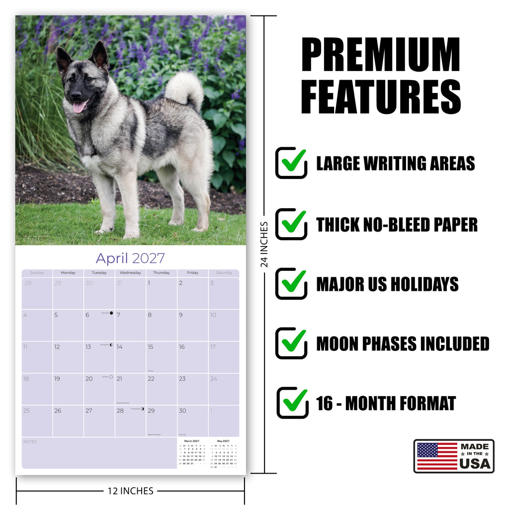 Norwegian Elkhound Wall Calendar 2027 - 12" x 12" Monthly Bold Silver-Grey & Viking Heritage Hound Calendar
