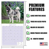 Norwegian Elkhound Wall Calendar 2027 - 12" x 12" Monthly Bold Silver-Grey & Viking Heritage Hound Calendar
