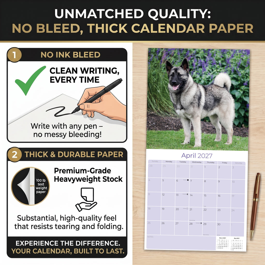 Norwegian Elkhound Wall Calendar 2027 - 12" x 12" Monthly Bold Silver-Grey & Viking Heritage Hound Calendar