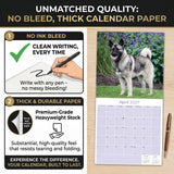 Norwegian Elkhound Wall Calendar 2027 - 12" x 12" Monthly Bold Silver-Grey & Viking Heritage Hound Calendar