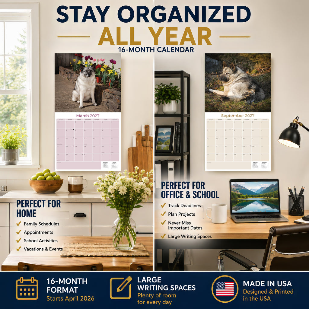 Norwegian Elkhound Wall Calendar 2027 - 12" x 12" Monthly Bold Silver-Grey & Viking Heritage Hound Calendar