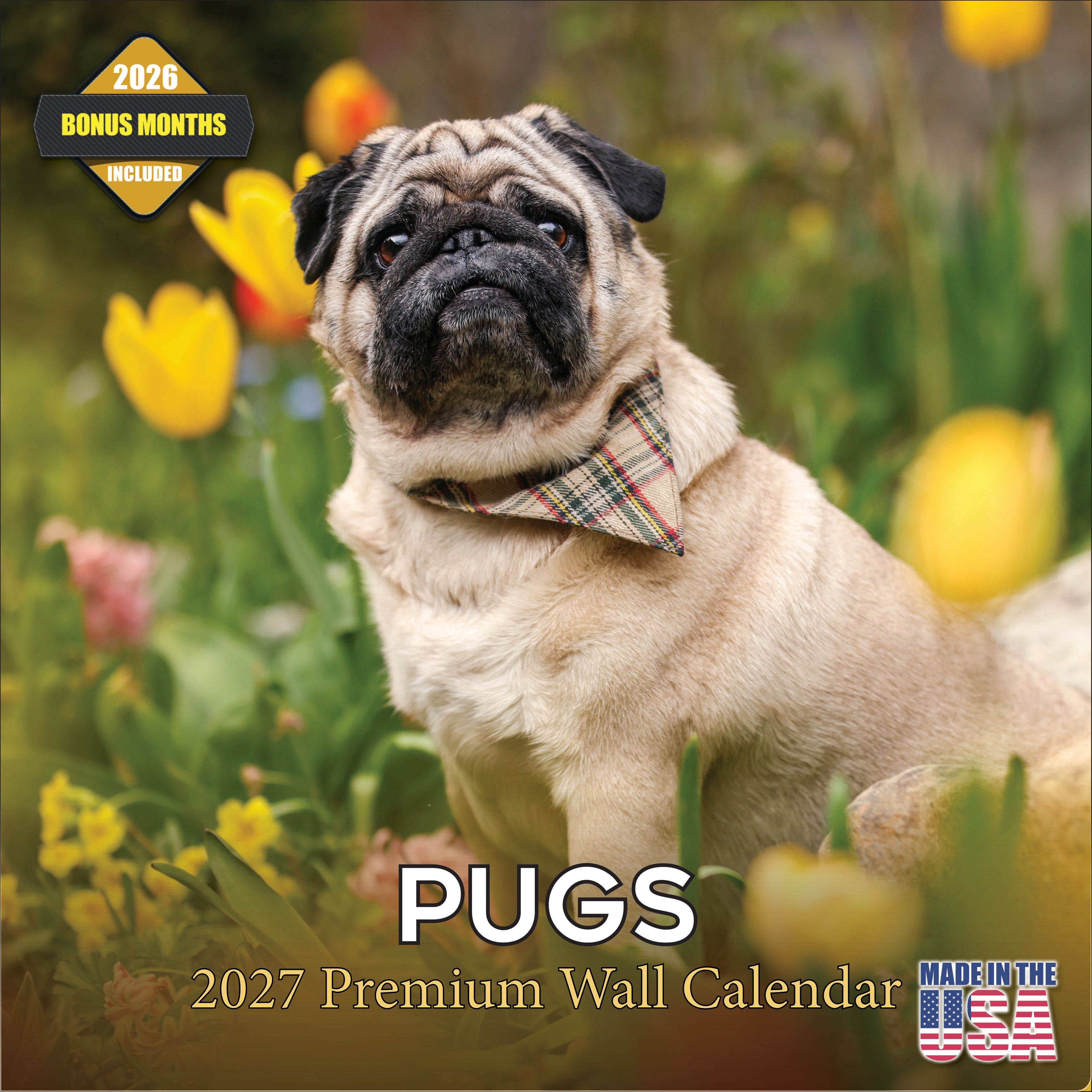 Pug Wall Calendar 2027 - 12
