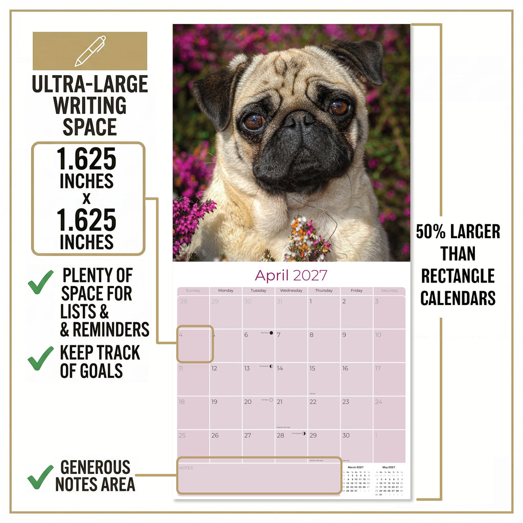 Pug Wall Calendar 2027 - 12" x 12" Monthly Charming & Mischievous Pug Dog Breed Calendar