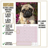 Pug Wall Calendar 2027 - 12" x 12" Monthly Charming & Mischievous Pug Dog Breed Calendar