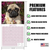 Pug Wall Calendar 2027 - 12" x 12" Monthly Charming & Mischievous Pug Dog Breed Calendar