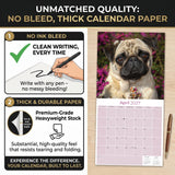 Pug Wall Calendar 2027 - 12" x 12" Monthly Charming & Mischievous Pug Dog Breed Calendar