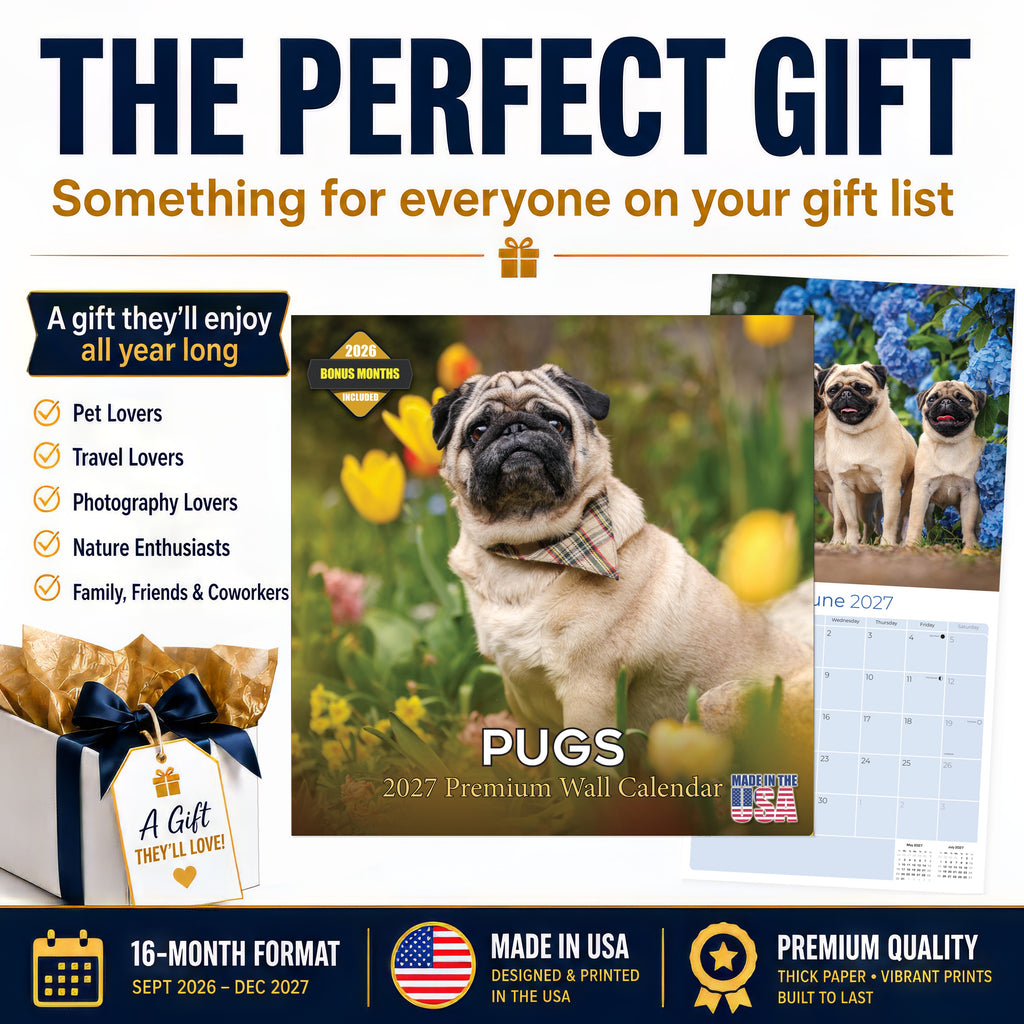 Pug Wall Calendar 2027 - 12" x 12" Monthly Charming & Mischievous Pug Dog Breed Calendar