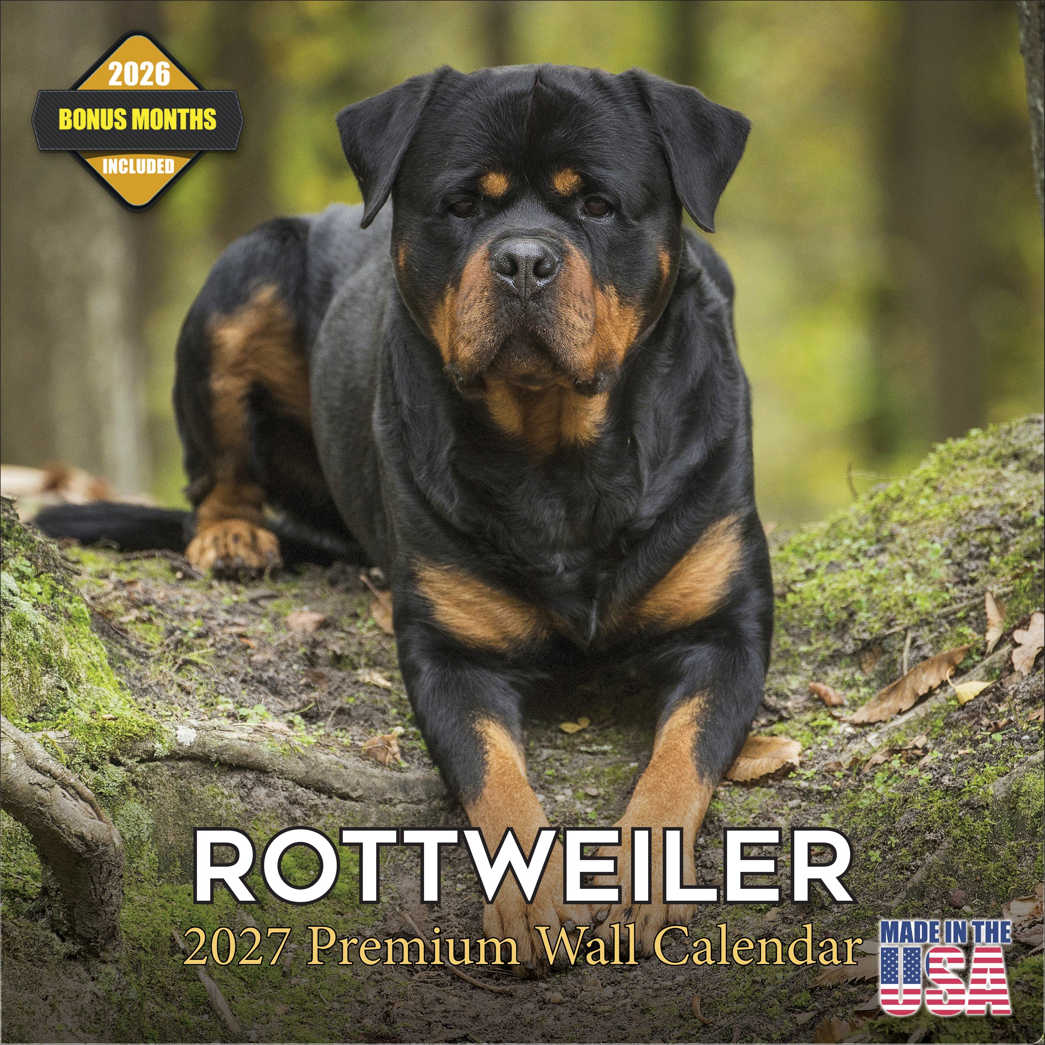 Rottweiler Wall Calendar 2027 - 12