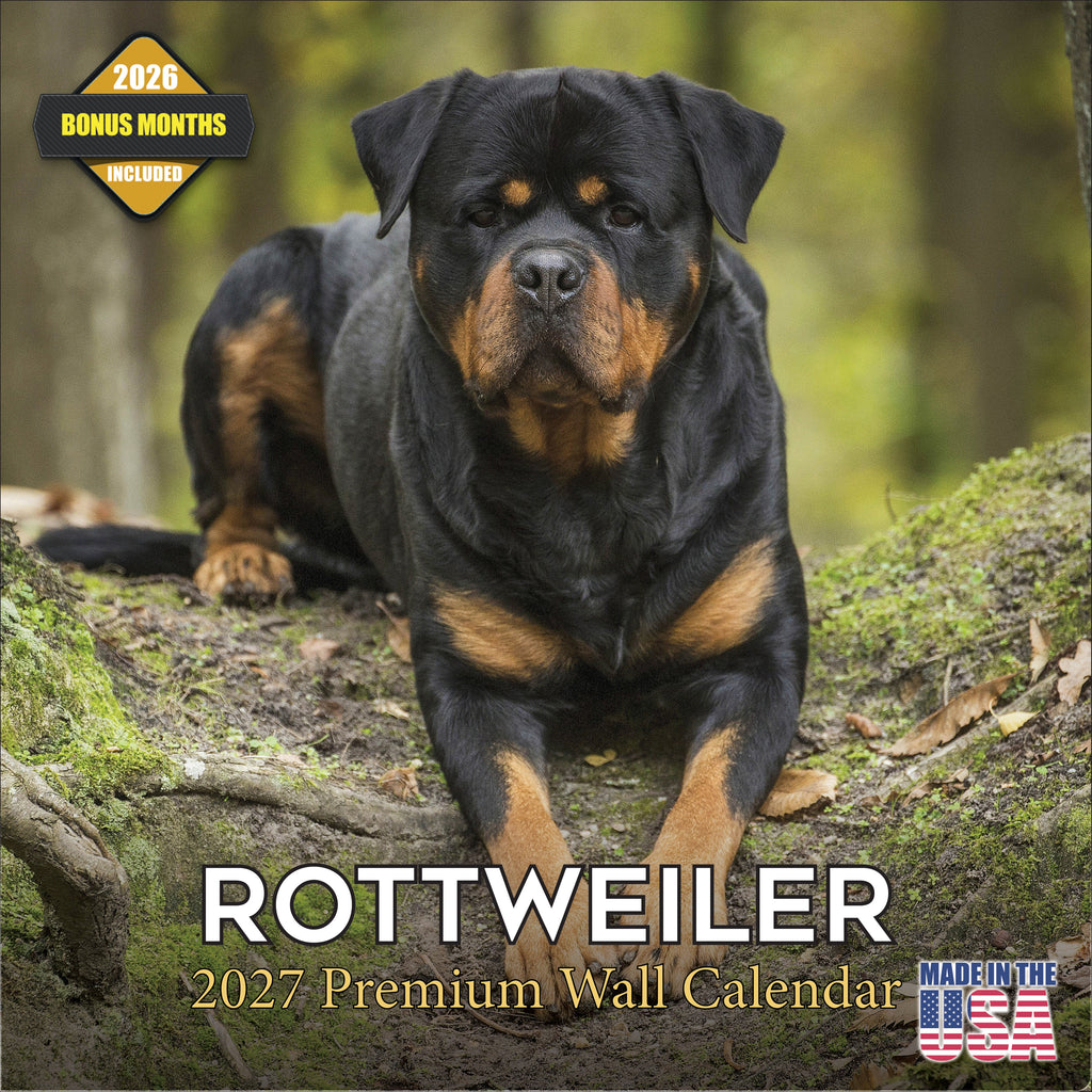 Rottweiler Wall Calendar 2027 - 12" x 12" Monthly Loyal & Protective Rottie Dog Breed Calendar