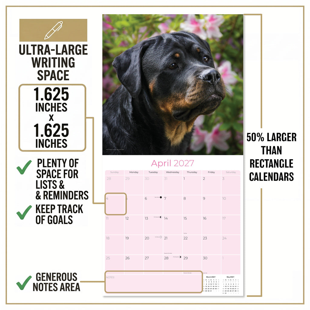Rottweiler Wall Calendar 2027 - 12" x 12" Monthly Loyal & Protective Rottie Dog Breed Calendar
