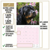 Rottweiler Wall Calendar 2027 - 12" x 12" Monthly Loyal & Protective Rottie Dog Breed Calendar