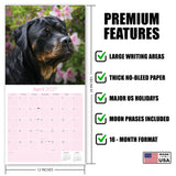 Rottweiler Wall Calendar 2027 - 12" x 12" Monthly Loyal & Protective Rottie Dog Breed Calendar