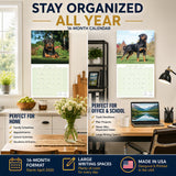Rottweiler Wall Calendar 2027 - 12" x 12" Monthly Loyal & Protective Rottie Dog Breed Calendar