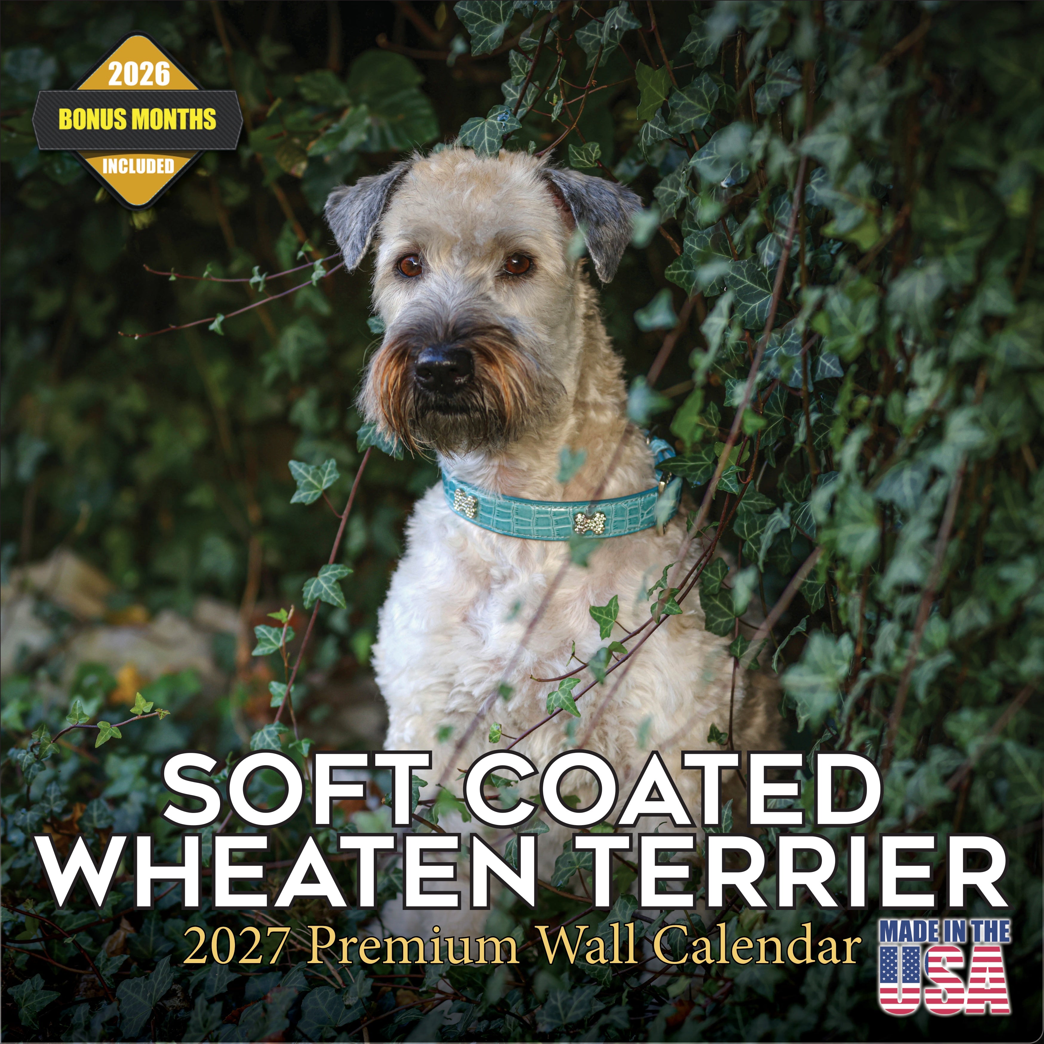 Soft Coated Wheaten Terrier Wall Calendar 2027 - 12
