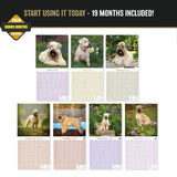 Soft Coated Wheaten Terrier Wall Calendar 2027 - 12" x 12" Monthly Happy & Devoted Wheaten Terrier Breed Calendar