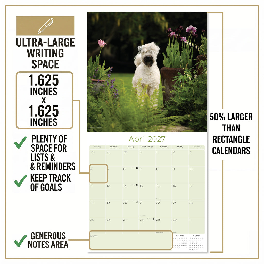 Soft Coated Wheaten Terrier Wall Calendar 2027 - 12" x 12" Monthly Happy & Devoted Wheaten Terrier Breed Calendar