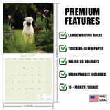 Soft Coated Wheaten Terrier Wall Calendar 2027 - 12" x 12" Monthly Happy & Devoted Wheaten Terrier Breed Calendar