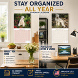 Soft Coated Wheaten Terrier Wall Calendar 2027 - 12" x 12" Monthly Happy & Devoted Wheaten Terrier Breed Calendar