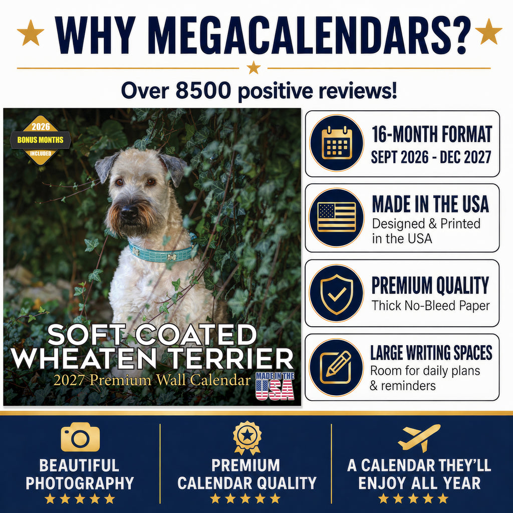 Soft Coated Wheaten Terrier Wall Calendar 2027 - 12" x 12" Monthly Happy & Devoted Wheaten Terrier Breed Calendar