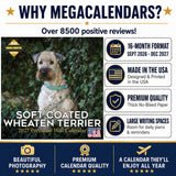 Soft Coated Wheaten Terrier Wall Calendar 2027 - 12" x 12" Monthly Happy & Devoted Wheaten Terrier Breed Calendar