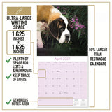 St Bernard Wall Calendar 2027 - 12" x 12" Monthly Loyal & Courageous Saint Bernard Giant Breed Calendar