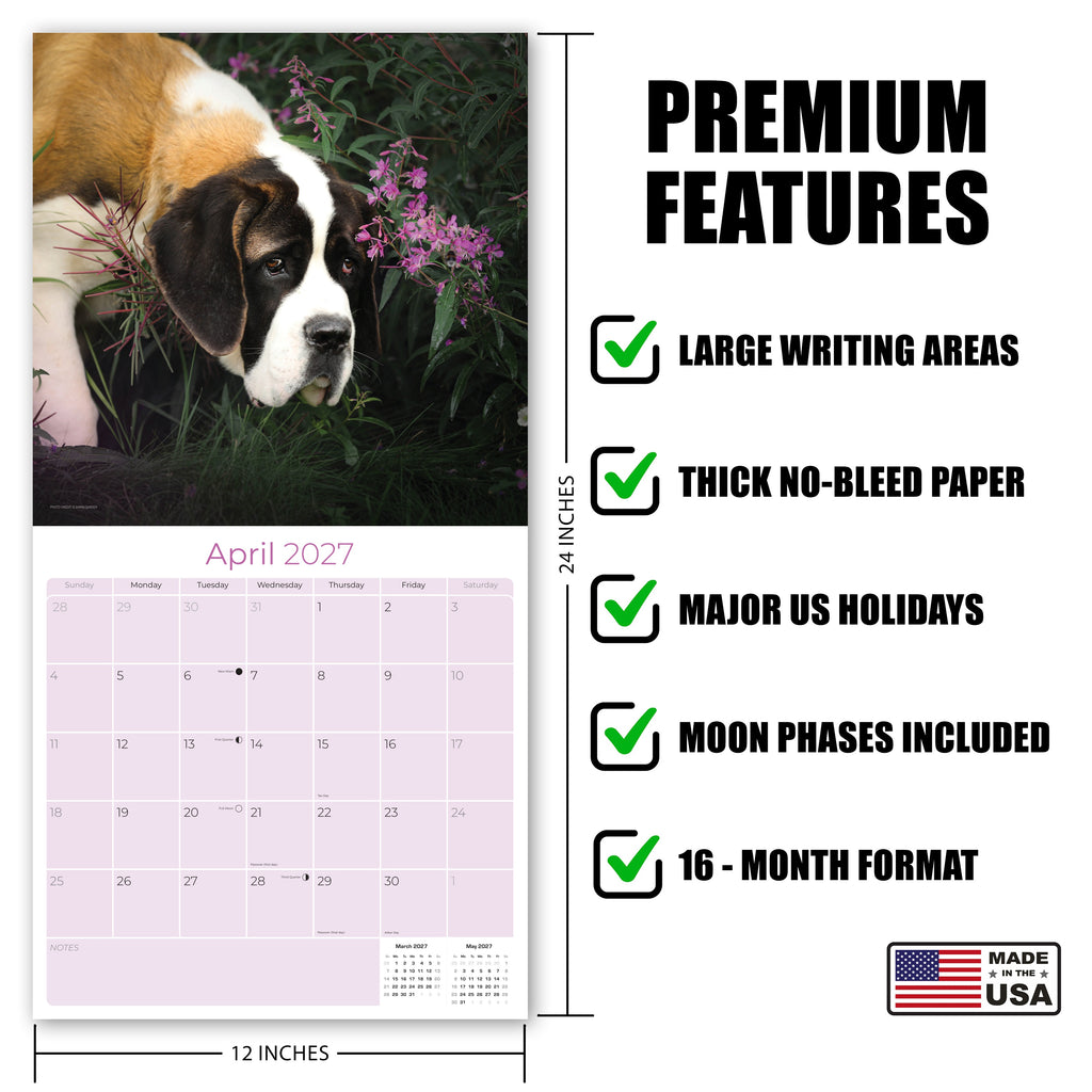 St Bernard Wall Calendar 2027 - 12" x 12" Monthly Loyal & Courageous Saint Bernard Giant Breed Calendar