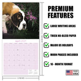 St Bernard Wall Calendar 2027 - 12" x 12" Monthly Loyal & Courageous Saint Bernard Giant Breed Calendar