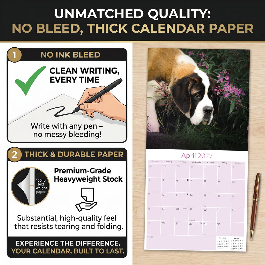 St Bernard Wall Calendar 2027 - 12" x 12" Monthly Loyal & Courageous Saint Bernard Giant Breed Calendar