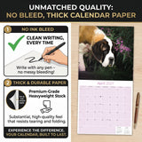 St Bernard Wall Calendar 2027 - 12" x 12" Monthly Loyal & Courageous Saint Bernard Giant Breed Calendar