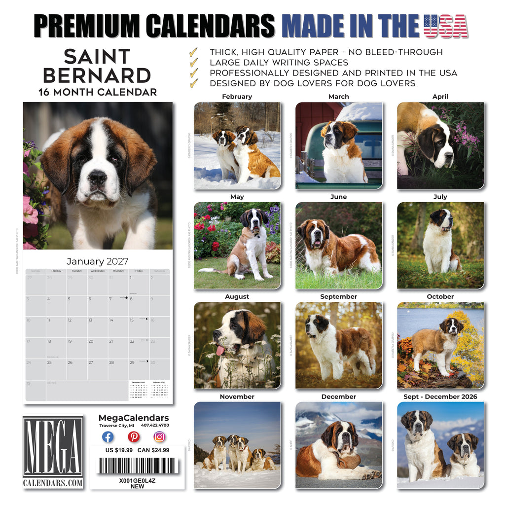St Bernard Wall Calendar 2027 - 12" x 12" Monthly Loyal & Courageous Saint Bernard Giant Breed Calendar