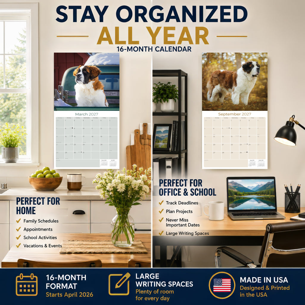 St Bernard Wall Calendar 2027 - 12" x 12" Monthly Loyal & Courageous Saint Bernard Giant Breed Calendar