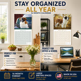 St Bernard Wall Calendar 2027 - 12" x 12" Monthly Loyal & Courageous Saint Bernard Giant Breed Calendar