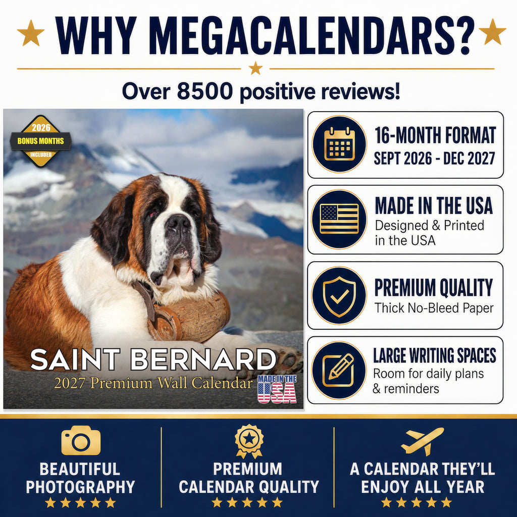 St Bernard Wall Calendar 2027 - 12" x 12" Monthly Loyal & Courageous Saint Bernard Giant Breed Calendar
