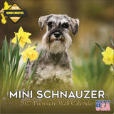 Miniature Schnauzer Wall Calendar 2027 - 12" x 12" Monthly Bearded Terrier & Spirited Small Schnauzer Calendar