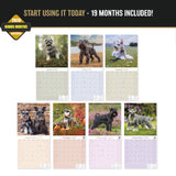 Miniature Schnauzer Wall Calendar 2027 - 12" x 12" Monthly Bearded Terrier & Spirited Small Schnauzer Calendar
